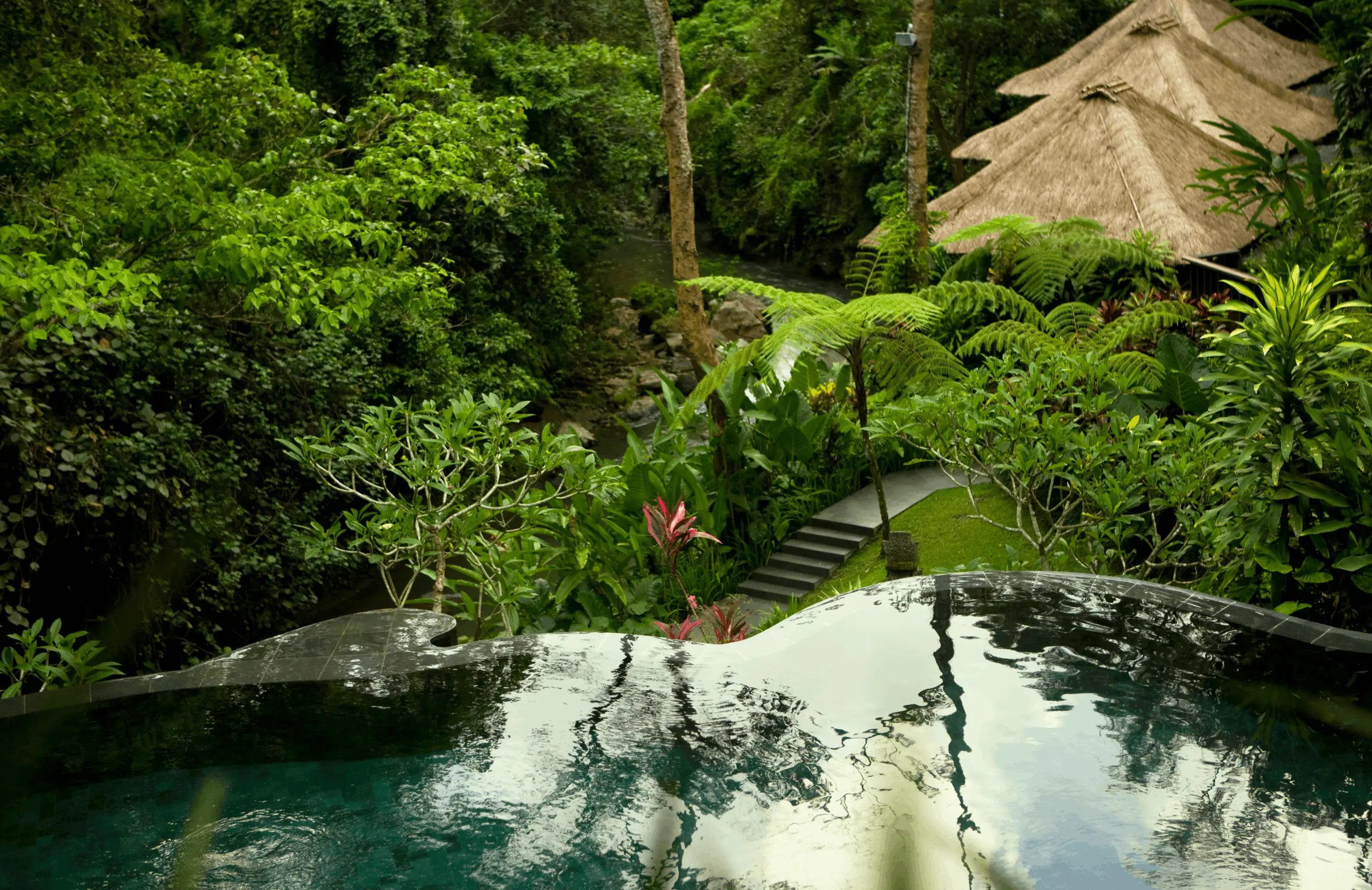 Hội viên đặc quyền